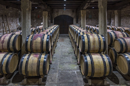 France, Cote d'Or, cultural Landscape of the climates of Burgundy listed as World Heritage by UNESCO, Route des Grands Crus (road of Vintage Wines), vineyard of the Côte de Nuits, Gevrey Chambertin, Domaine Dugat, the former Tithe Cellar of the Bishops of Langres where the empty barrels are stored