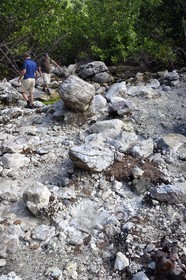 Caraïbes, Ile de la Dominique, rivière du site de la soufrière froide (Cold Soufrière) près du village de Pennville dans le nord de l'île sur le segment 13 du Waitukubuli National Trail