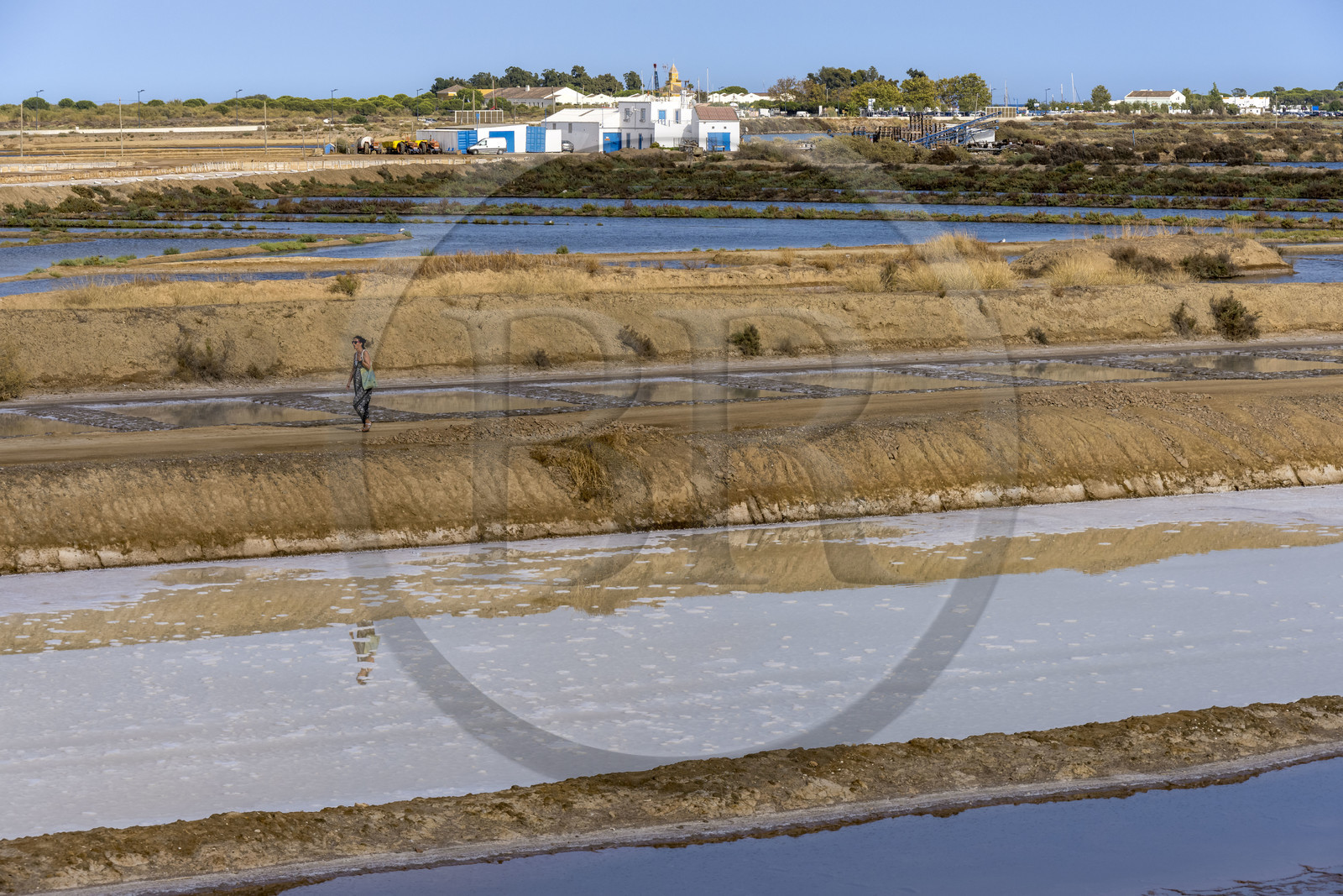 Portugal, Algarve, Tavira, les marais salants en bordure de la ville et du Parc Naturel de la Ria Formosa