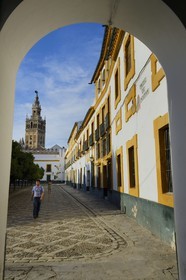 Spain, Andalusia, Seville, the Giralda view from the Courtyard of Flags (Patio de Banderas)