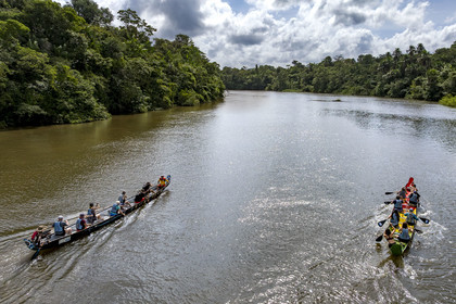 France, Guyane, Kourou, Camp Maripas, course de deux pirogues P12 (pirogue traditionnelle Guyanaise adaptée en résine) sur le fleuve Kourou (vue aérienne)