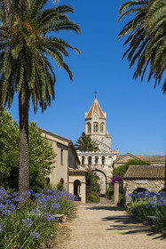 France, Alpes-Maritimes, Cannes, Lerins Islands, Saint-Honorat island, Abbey of Lerins, the abbey church