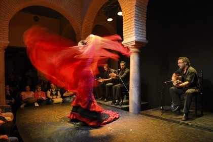 Espagne, Andalousie, Séville, quartier de Santa Cruz, musée de la dance flamenco