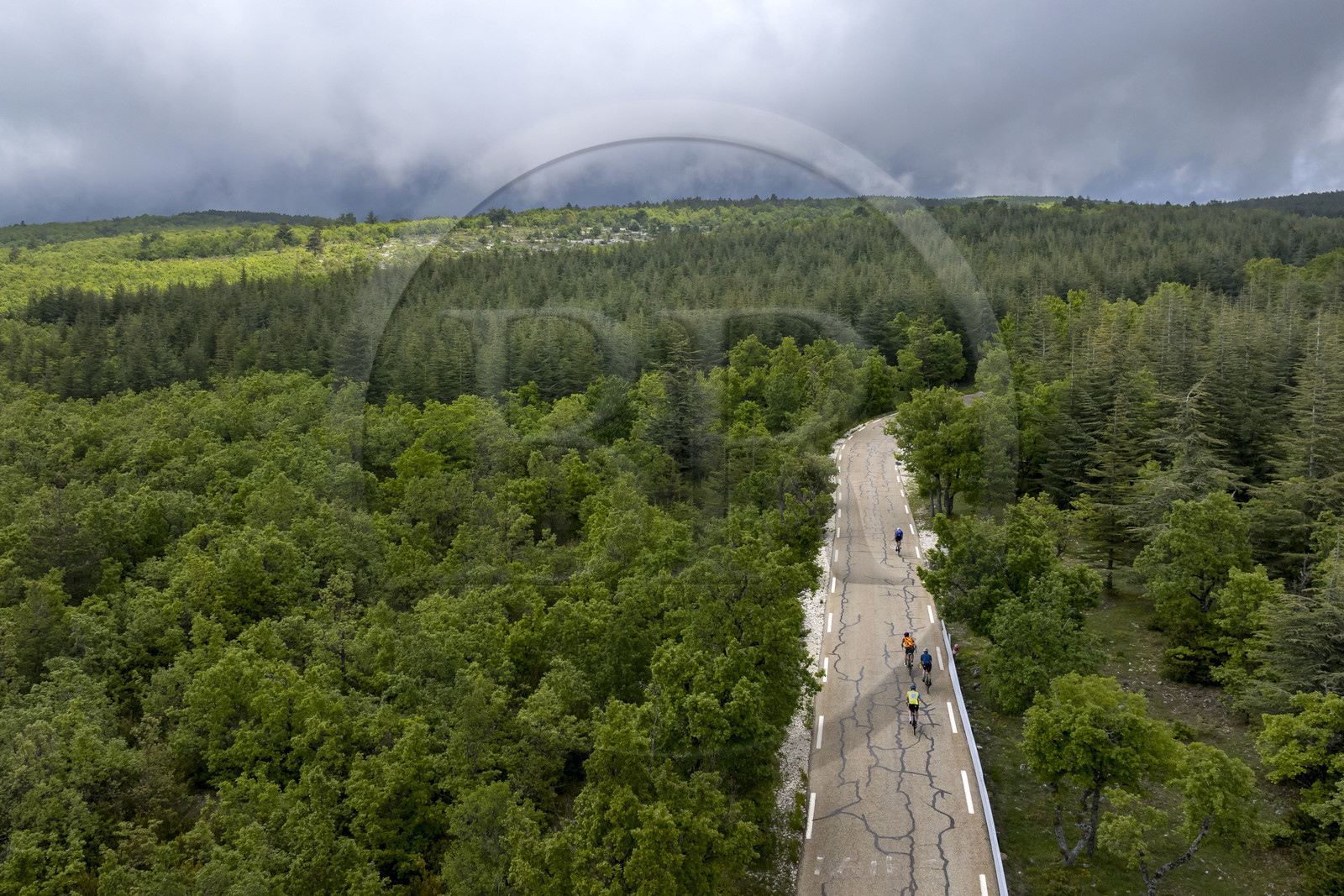 France, Vaucluse (84), Parc Naturel Régional du Mont Ventoux, Bedoin, ascension à vélo du Mont Ventoux par la route D974 sur le versant sud, route à travers une épaisse forêt de chênes et de pins à crochets(vue aérienne)