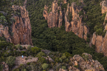 France, Var, between Bagnols en Foret and Roquebrune sur Argens, hiker at the entrance of the Gorges du Blavet (aerial view)