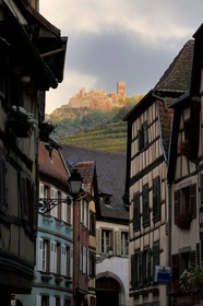 France, Haut-Rhin (68), Ribeauvillé, château Saint-Ulrich