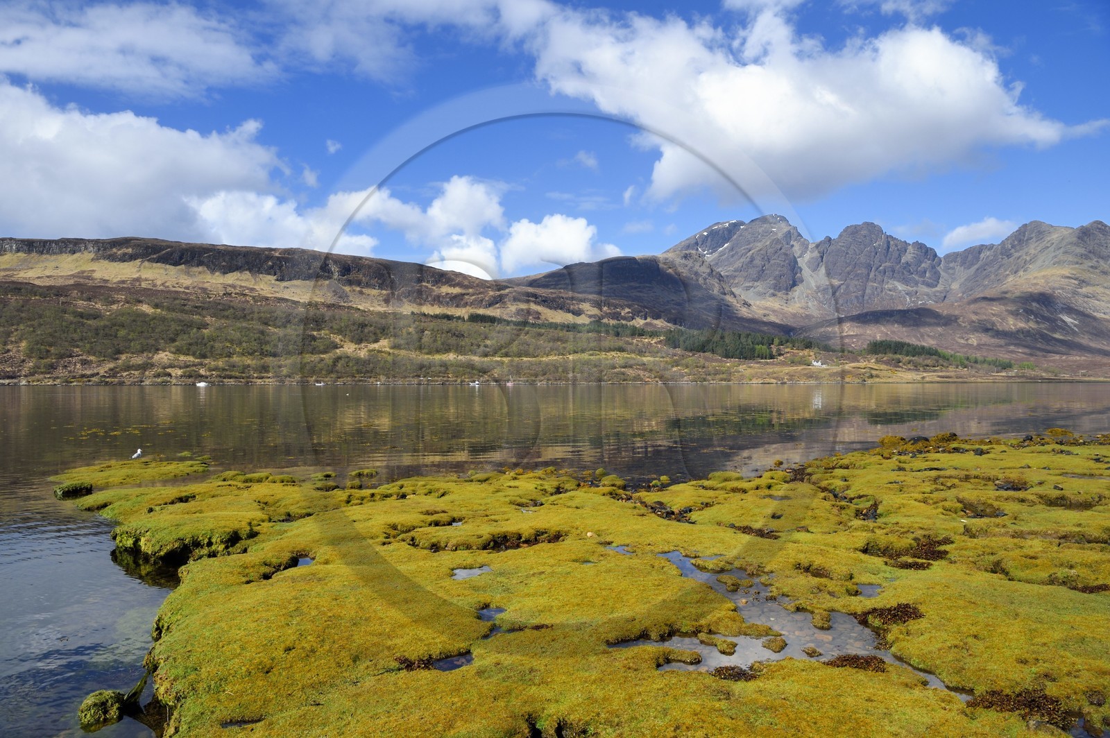 United Kingdom, Scotland, Highlands, Hebrides, Isle of Skye, Loch Slapin towards Torrin and the Red Cuillin Mountains