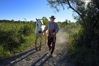 France, Bouches du Rhone, Parc naturel regional de Camargue (Regional Natural Park of Camargue), Mas du Menage, manade Saint Antoine (Cauzel), the gardian Régis Blayrat