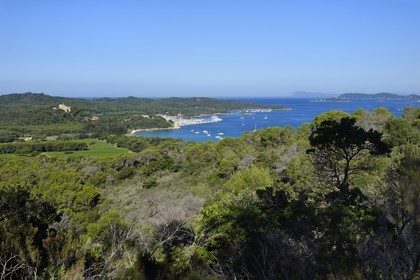 France, Var (83), Iles d'Hyères, parc national de Port Cros, Ile de Porquerolles, les vignes de la plaine de la Courtade dominées par le Fort Sainte Agathe