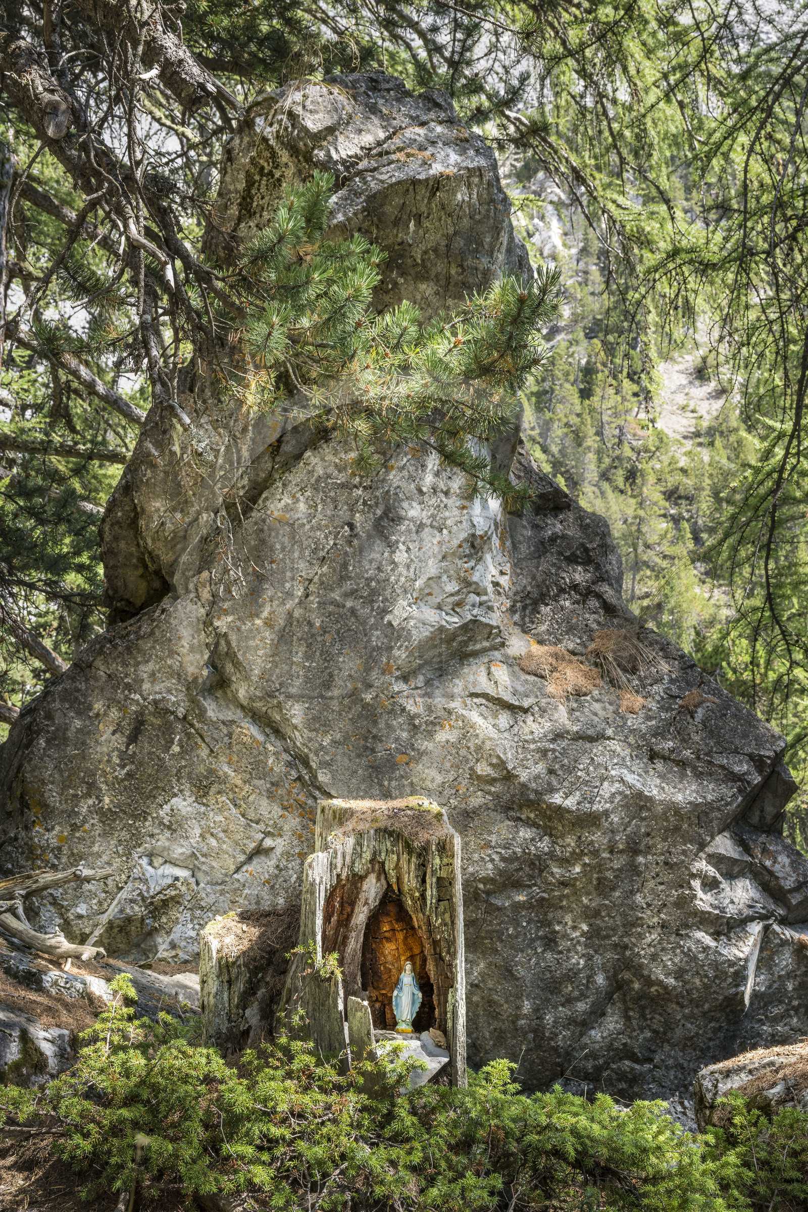 France, Hautes Alpes (05), Névache, la Vallée Étroite à la frontière italienne, statue de la Vierge Marie dans une souche d'arbre formant un oratoire naturel