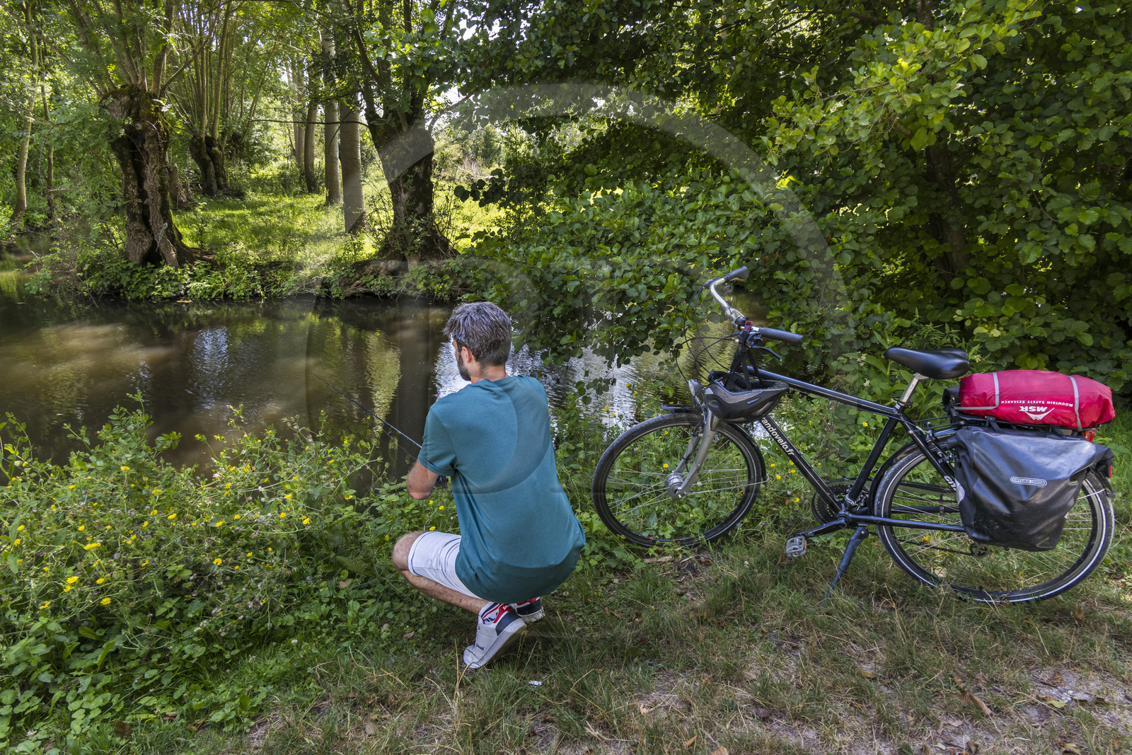 France, Deux-Sèvres (79), le Marais Poitevin, la Venise Verte, Le Vanneau-Irleau, randonnée à bicyclette le long des canaux, un des cyclistes se lance dans la pêche à la ligne
