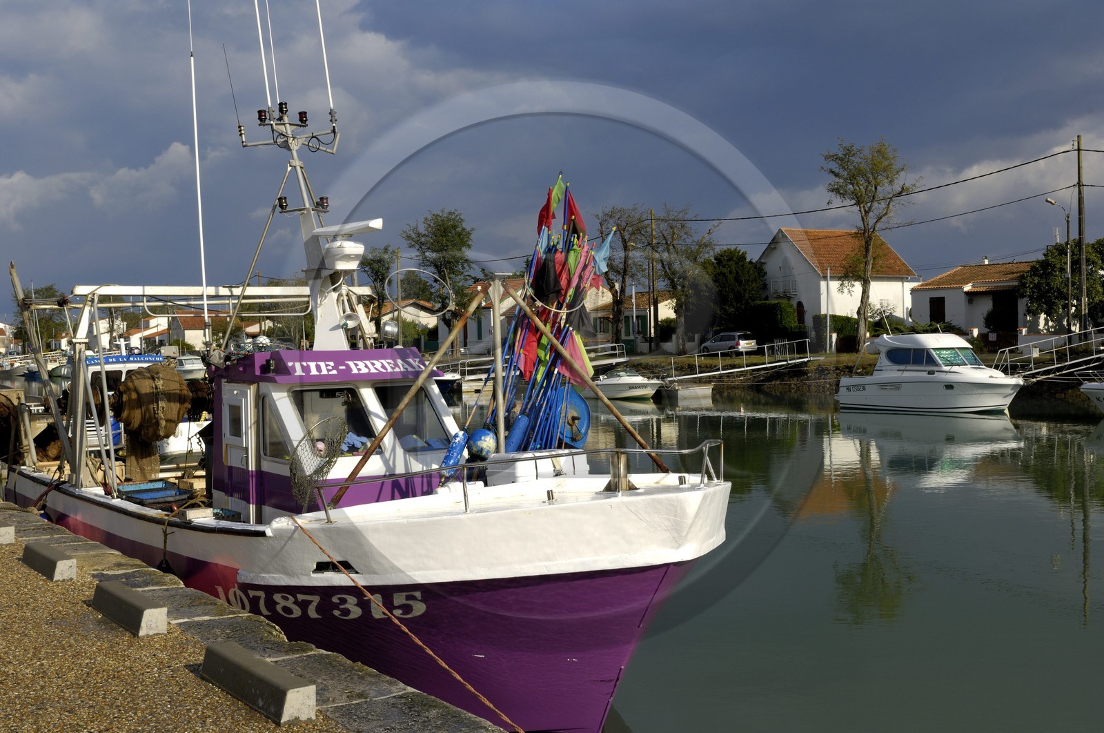 France, Charente-Maritime (17), Ile d'Oléron, port de Boyardville