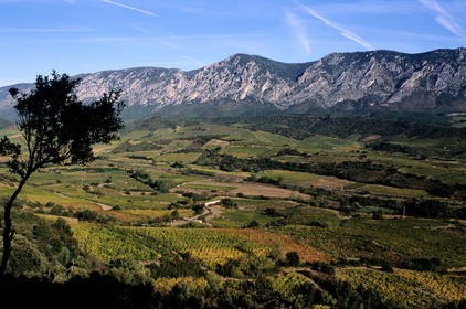 France, Pyrenees Orientales, Fenouilledes region, soil of the Maury AOC wine