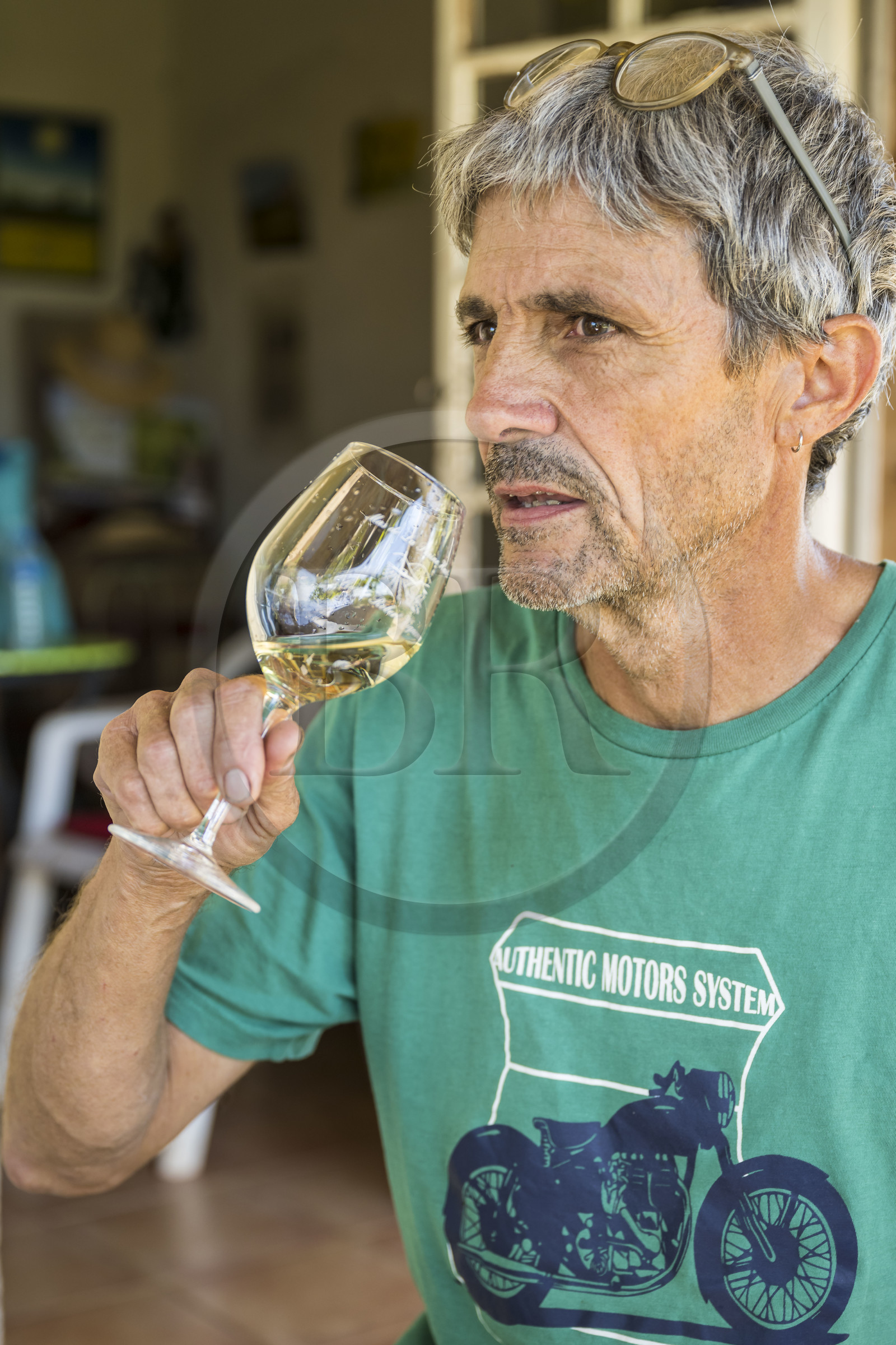 France, Hérault (34), Vic-La-Gardiole, Mas de la Plaine Haute, dégustation de vin chez le viticulteur Olivier Robert sur la terrasse de son mas