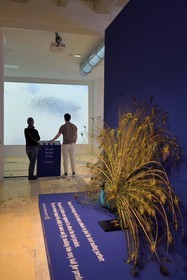 France, Charente (16), Cognac, Fondation d’Entreprise Martell, institution culturelle pluridisciplinaire (art, design et craft, architecture, musique, danse…), exposition Sagmeister & Walsh: Beauty, Nuée d'oiseaux par Jill Fantauzza