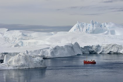 Groenland, cote ouest, baie de Disko, Ilulissat, fjord glacé classé Patrimoine Mondial de l'UNESCO qui est l’embouchure maritime du glacier Sermeq Kujalleq (Jakobshavn Glacier), bateau de pêche au pied des icebergs