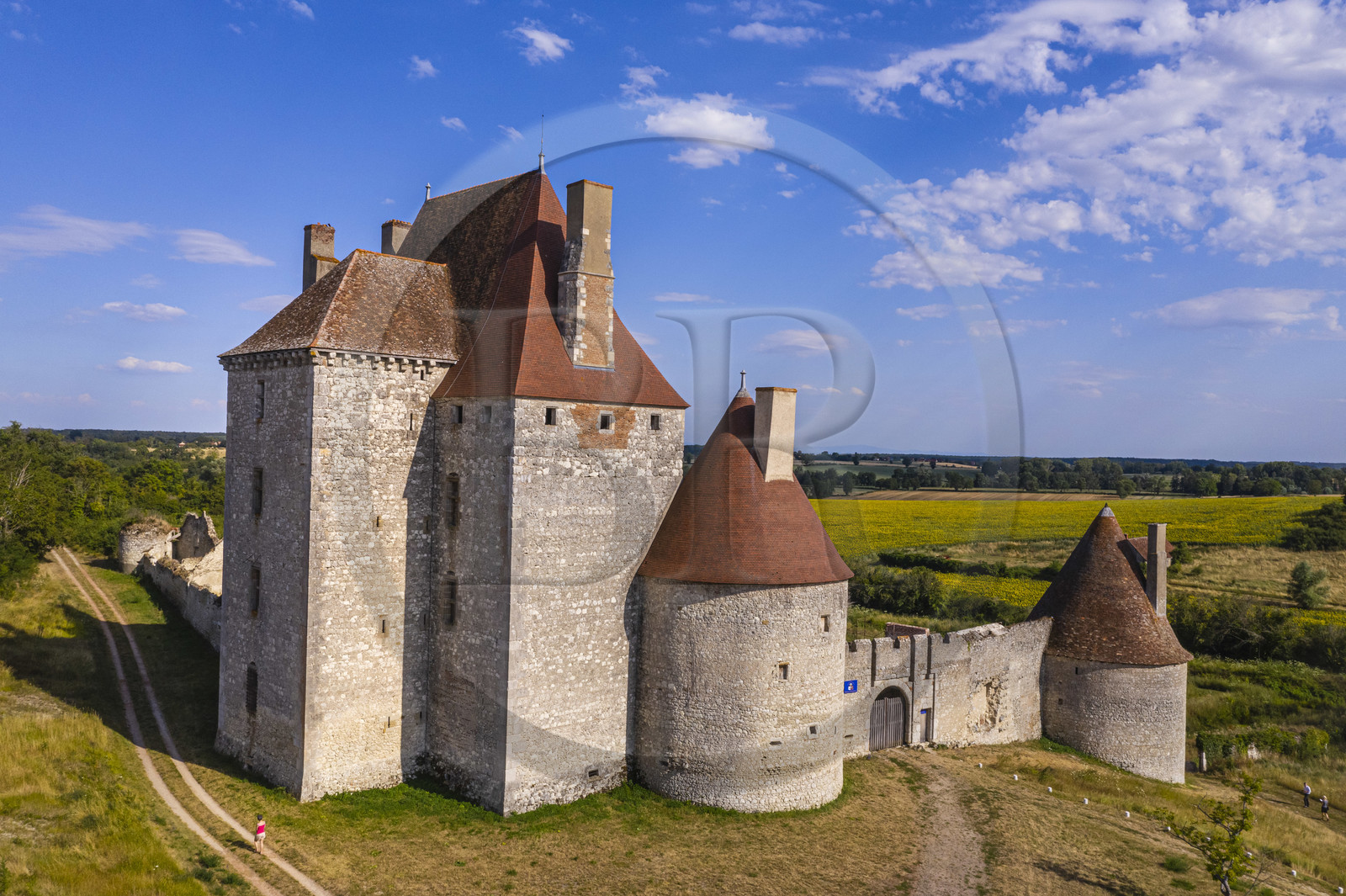 France, Allier (03), ancienne province du Bourbonnais, Besson, chateau de Fourchaud chateau de Fourchaud (XIVe siècle au XVIe siècle) appartenant aujourd'hui aux descendants des Bourbon-Parme (vue aérienne)