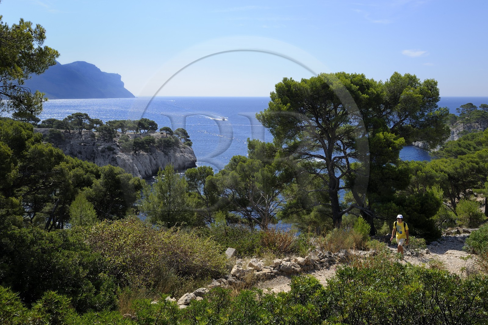 France, Bouches du Rhone, Cassis, peninsula of Port Miou and the cliffs of Cap Canaille in the background
