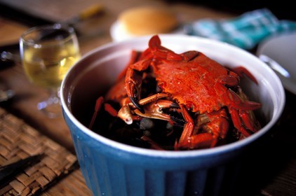 France, Finistère (29), spécialité gastronomique (crabe) servi à Prat-Ar-Coum