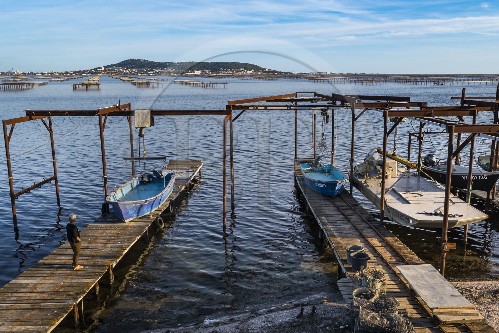 France, Hérault (34), Bouzigues, village sur les bords de l'Etang de Thau et réputé pour ses huîtres et coquillages, exploitations ostreïcoles, le Mont Saint-Clair et Sète en arrière plan (vue aérienne)