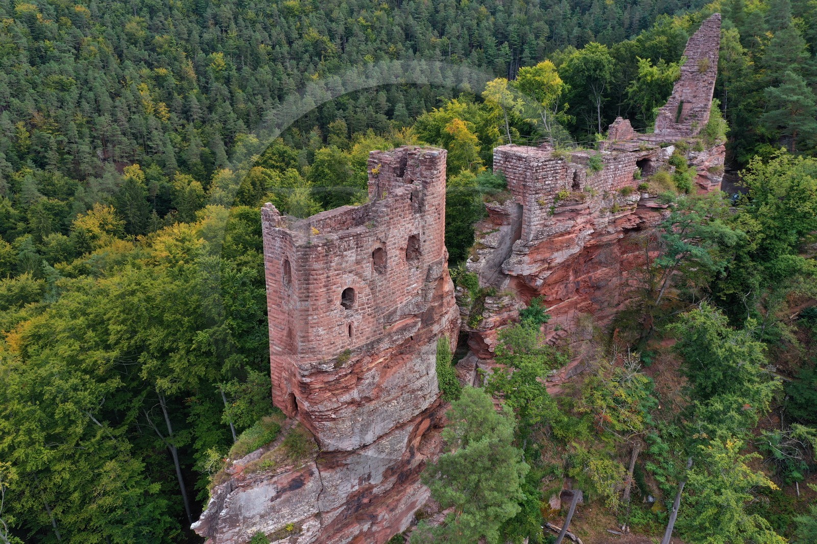 France, Bas-Rhin (67), Parc naturel r