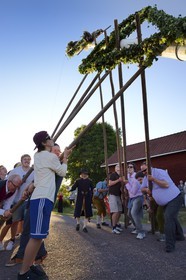 Suède, comté de Dalécarlie, région de Leksand, célébrations du solstice d'été dans le petit hameau de Hjulbäck, levée du mât de l'arbre de mai