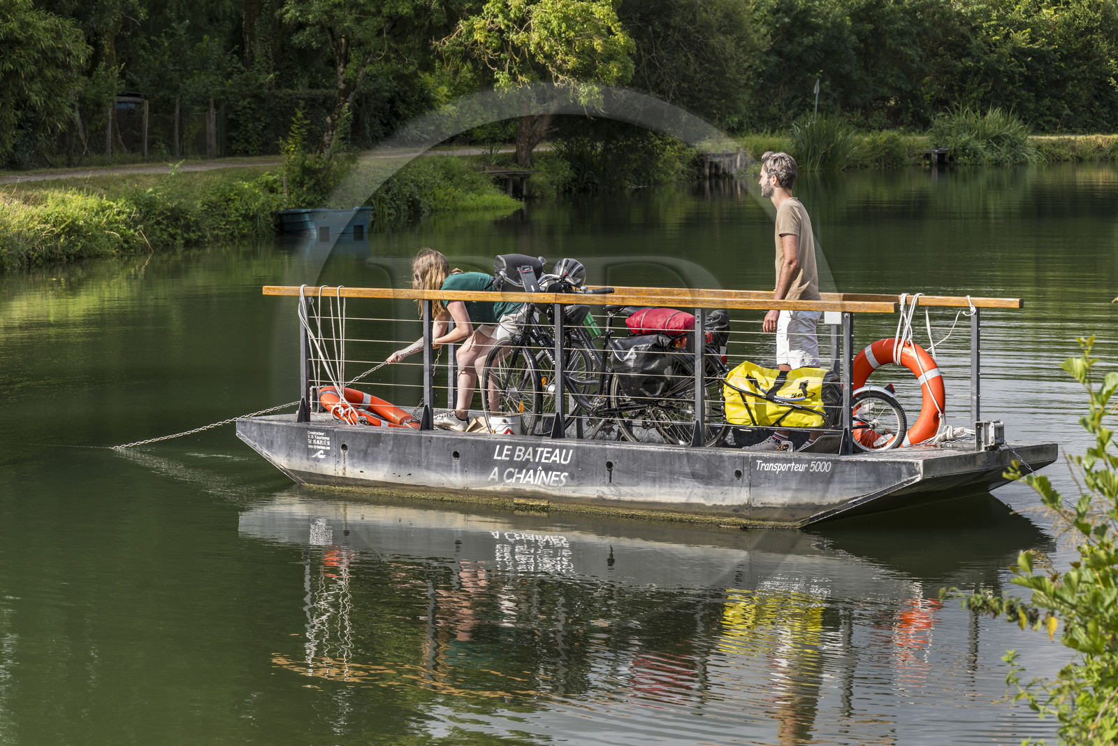 France, Deux-Sèvres (79), le Marais Poitevin, la Venise Verte, Magné, randonnée à bicyclette, passage de la Sèvre Niortaise à sur un des bateaux à chaines en libre accès