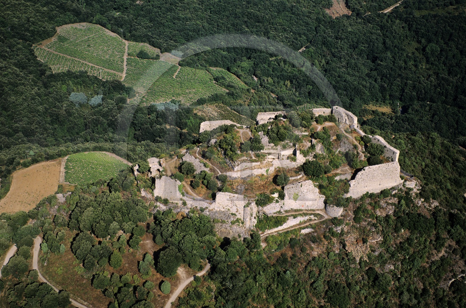 France, Aude (11), ruines du château cathare d'Aguillar dominant les vignes de Tuchan dans les Corbières (vue aérienne)
