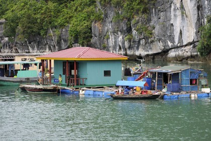 Vietnam, Quang Ninh Province, Halong Bay, listed as World Heritage by UNESCO, fishing floating village of Vong Vieng