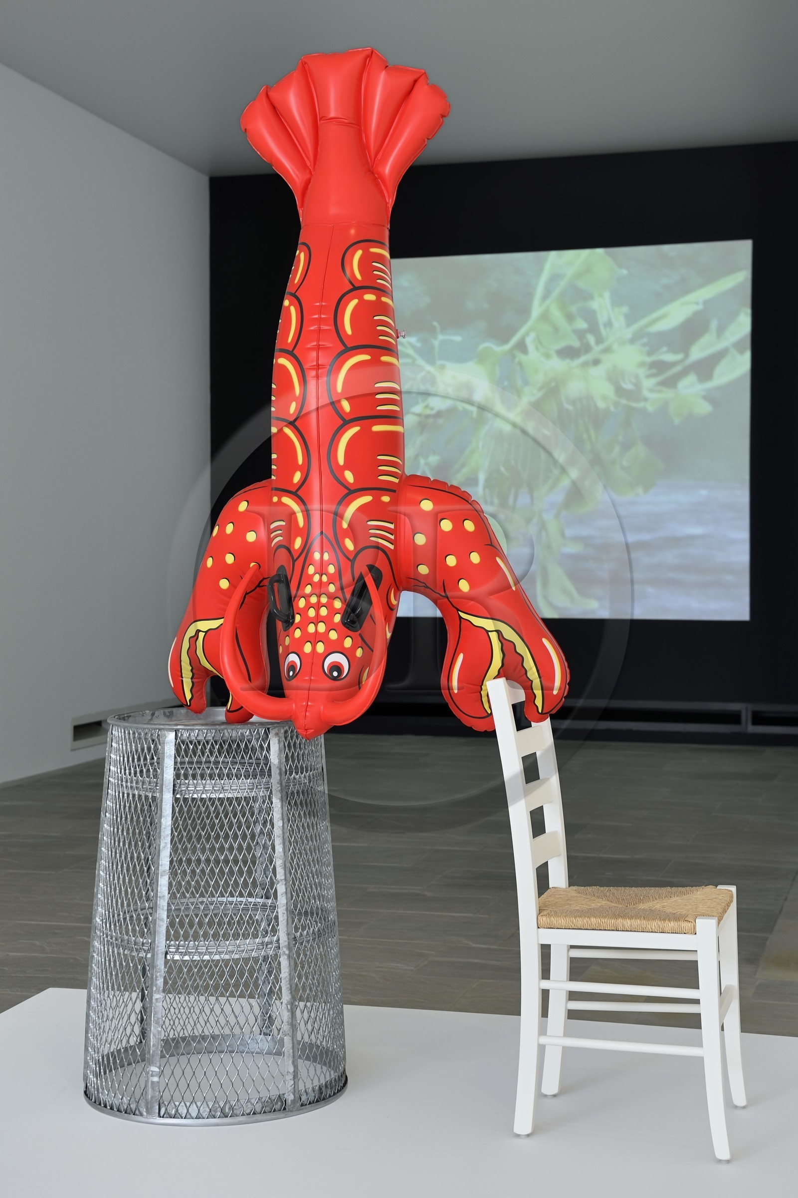 France, Var (83), Iles d'Hyères, parc national de Port Cros, Ile de Porquerolles, la Fondation Carmignac, exposition La Mer imaginaire, le homard perché sur une chaise Acrobat (2003-2009) oeuvre de Jeff Koons