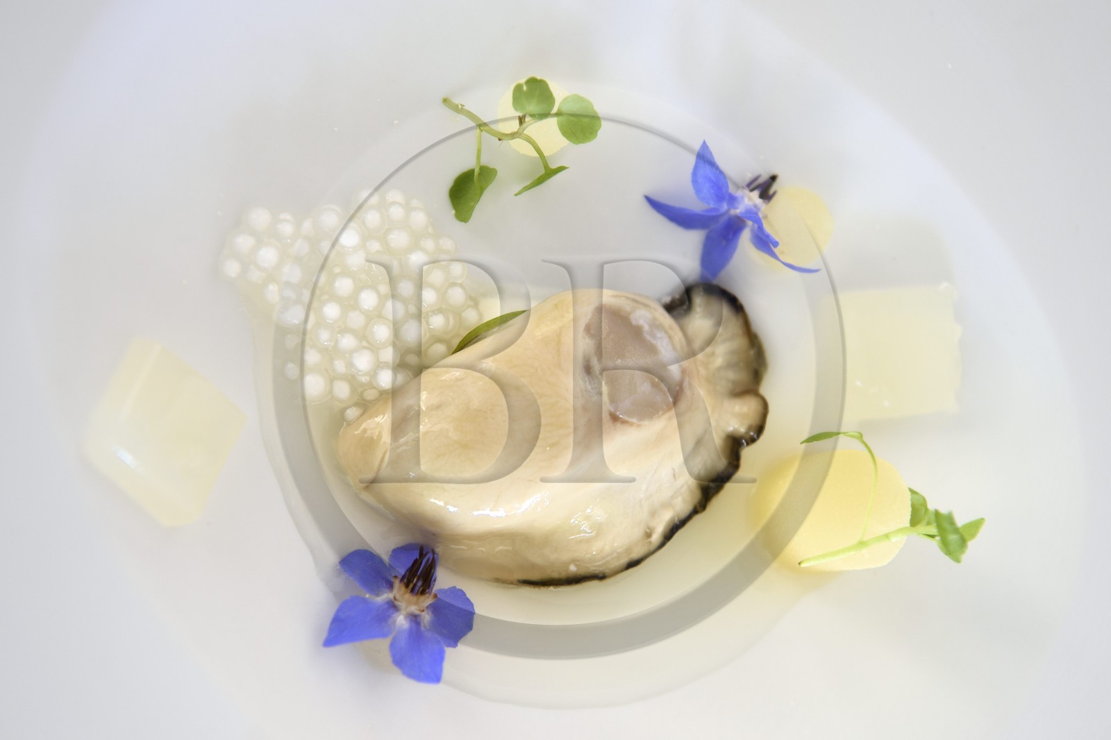 France, Alpes-Maritimes (06), Menton, Restaurant Le Mirazur du Chef doublement étoilé Michelin Mauro Colagreco, huitre Gillardeau avec carpaccio de poire et perles du japon (tapioca)