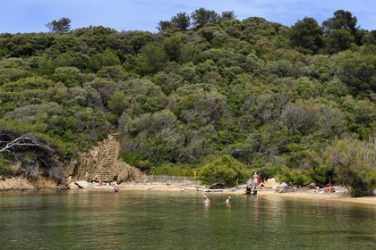 France, Var (83), Iles d'Hyères, Parc national de Port Cros, Ile de Port-Cros, plage de la Palud, sentier sous marin de la Palud