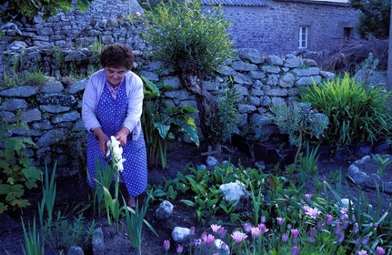 France, Finistère (29), île de Molène, femme dans son jardin