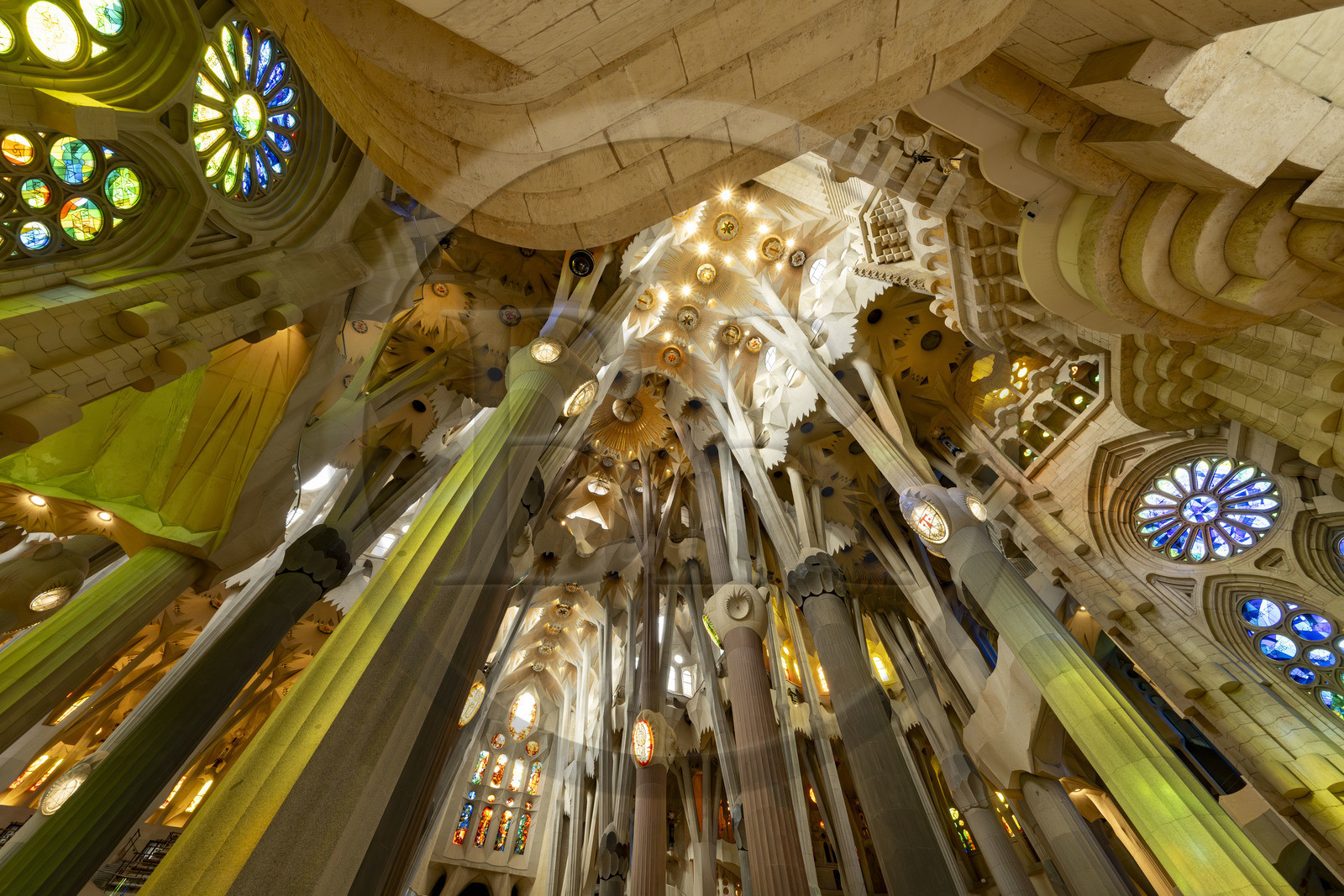 Espagne, Catalogne, Barcelone, quartier de l'Eixample, basilique de la Sagrada Familia de l'architecte du modernisme catalan Antoni Gaudi classée Patrimoine Mondial de l'UNESCO, le transept et l'intérieur de la facade de la Passion en arrière plan