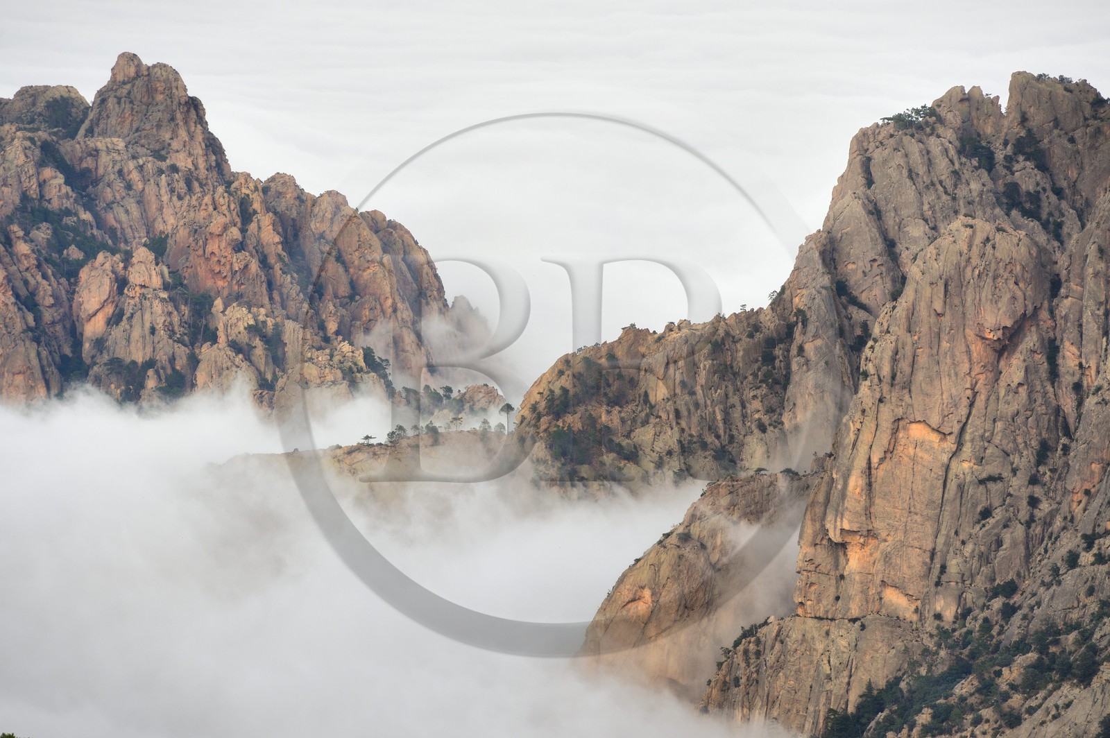 France, Corse du Sud, Alta Rocca, summits of the mountains east of the Bavella pass (Col de Bavella) emerging of clouds