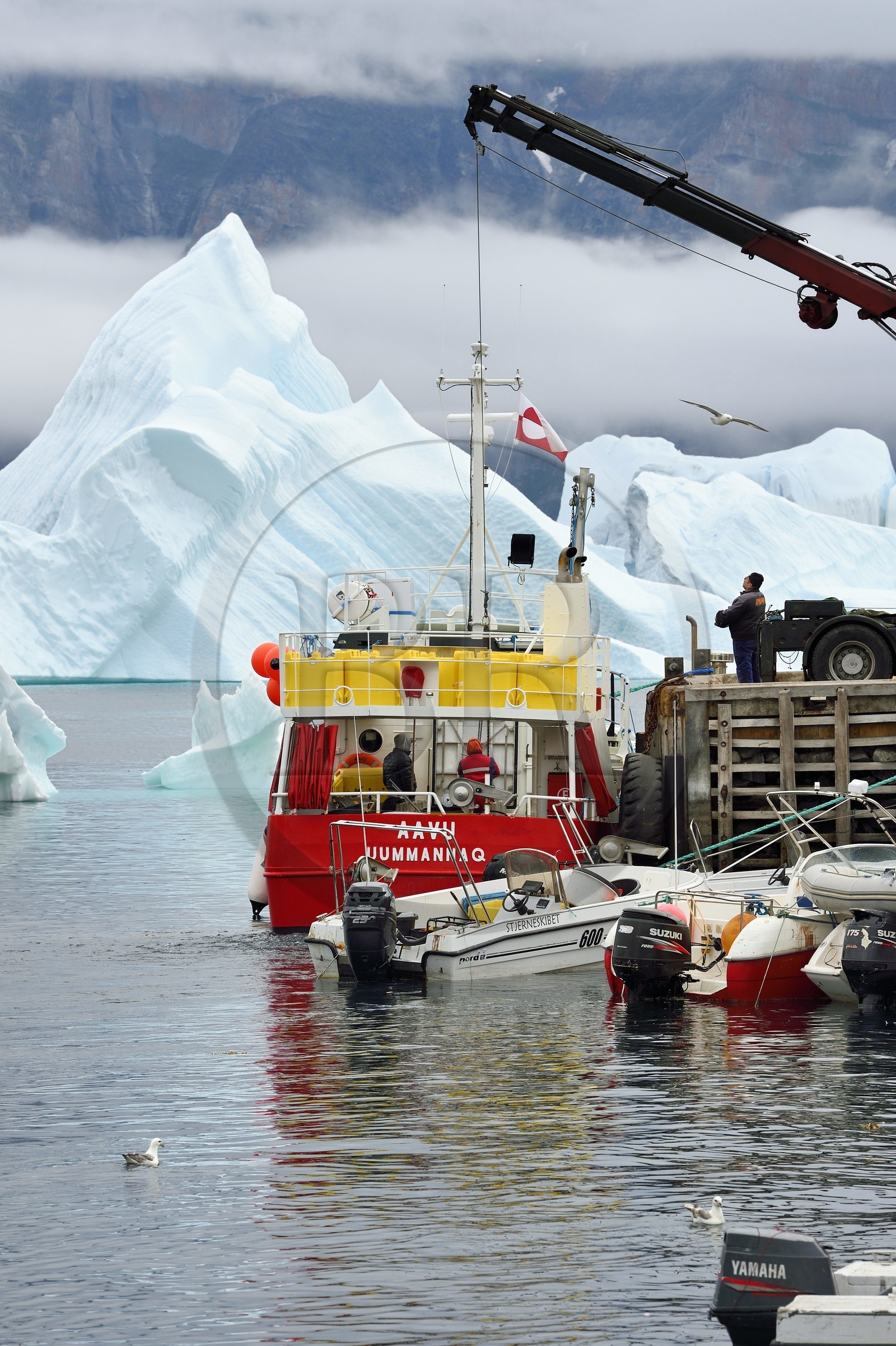 Groenland, cote ouest, Uummannaq, bateau de pêche déchargeant dans le port et icebergs en arrière plan