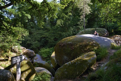 France, Finistere, Parc Naturel Regional d'Armorique (Armorique Natural Regional Park), Huelgoat, granitic chaos of the Huelgoat forest, place called The Virgin household (Le Menage de la Vierge)
