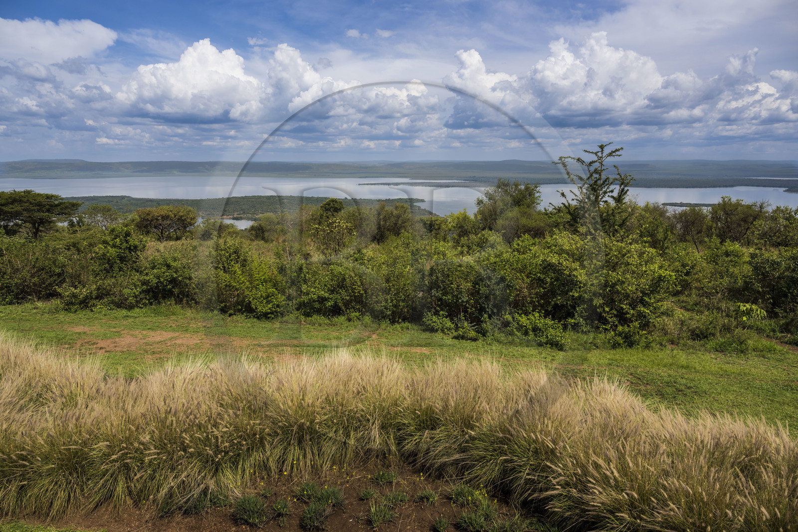 Rwanda, Parc national de l'Akagera, le lac Ihema