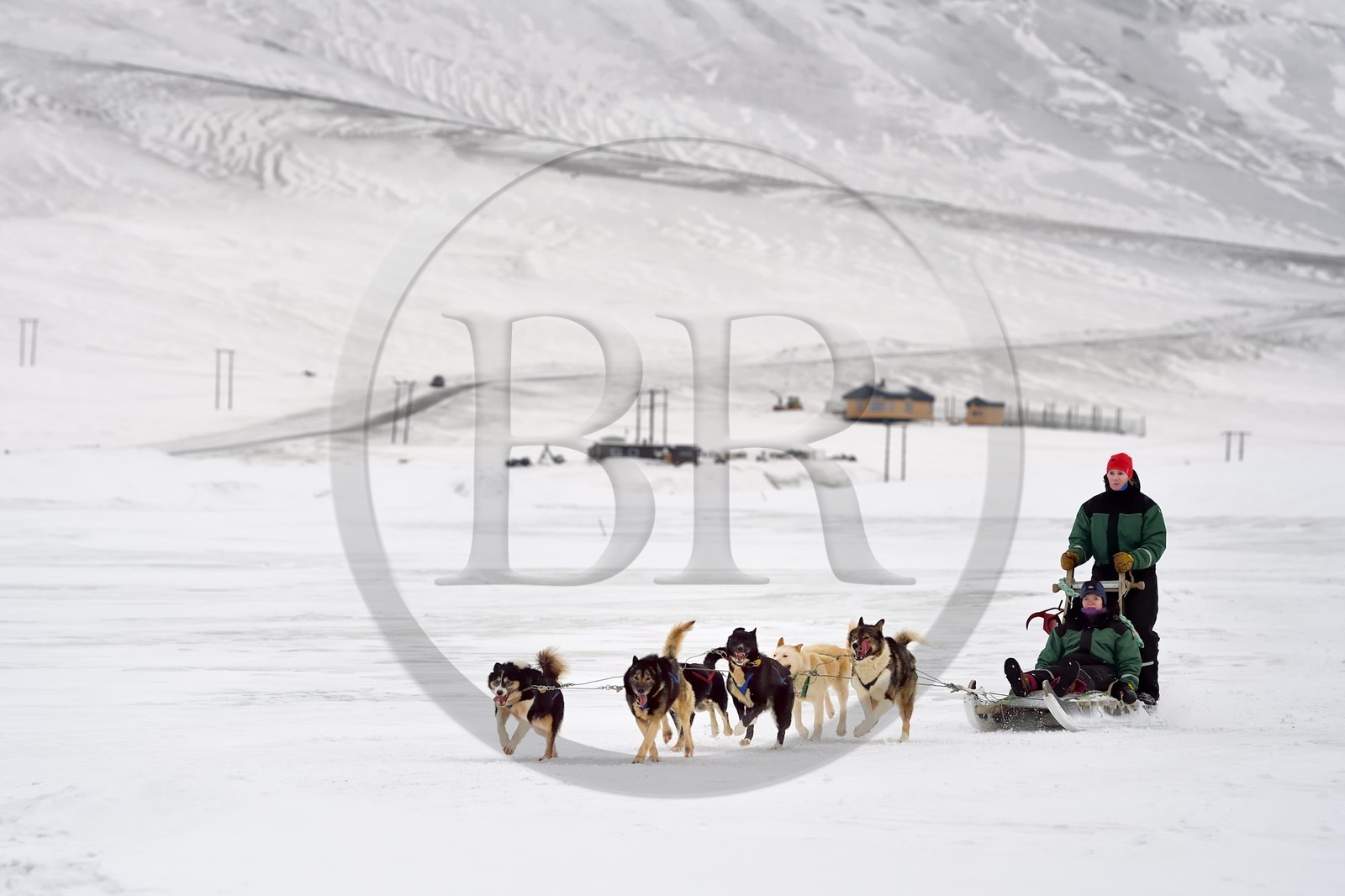 Norvège, Svalbard, Spitzberg, attelage de chiens de traineau dans la vallée de Adventdalen vers Longyearbyen Norvège, Svalbard, Spitzberg, attelage de chiens de traineau dans la vallée de Adventdalen vers Longyearbyen