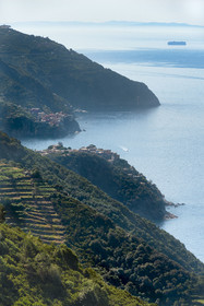Italy, Liguria, Cinque Terre National Park listed as World Heritage by UNESCO, hike on the GR 582 path between the sanctuary of Nostra Signora de Soviore and Nostra Signora di Reggio on the heights of the village of Vernazza, the villages of Corniglia then Manarola in the background