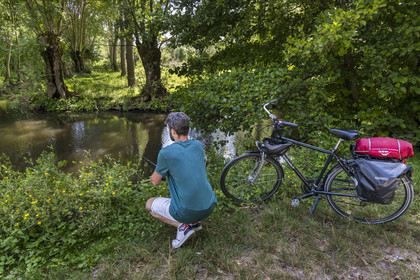 France, Deux-Sèvres, le Marais Poitevin, Green Venice, Le Vanneau-Irleau, bicycle journey along the canals, one of the cyclists goes fishing