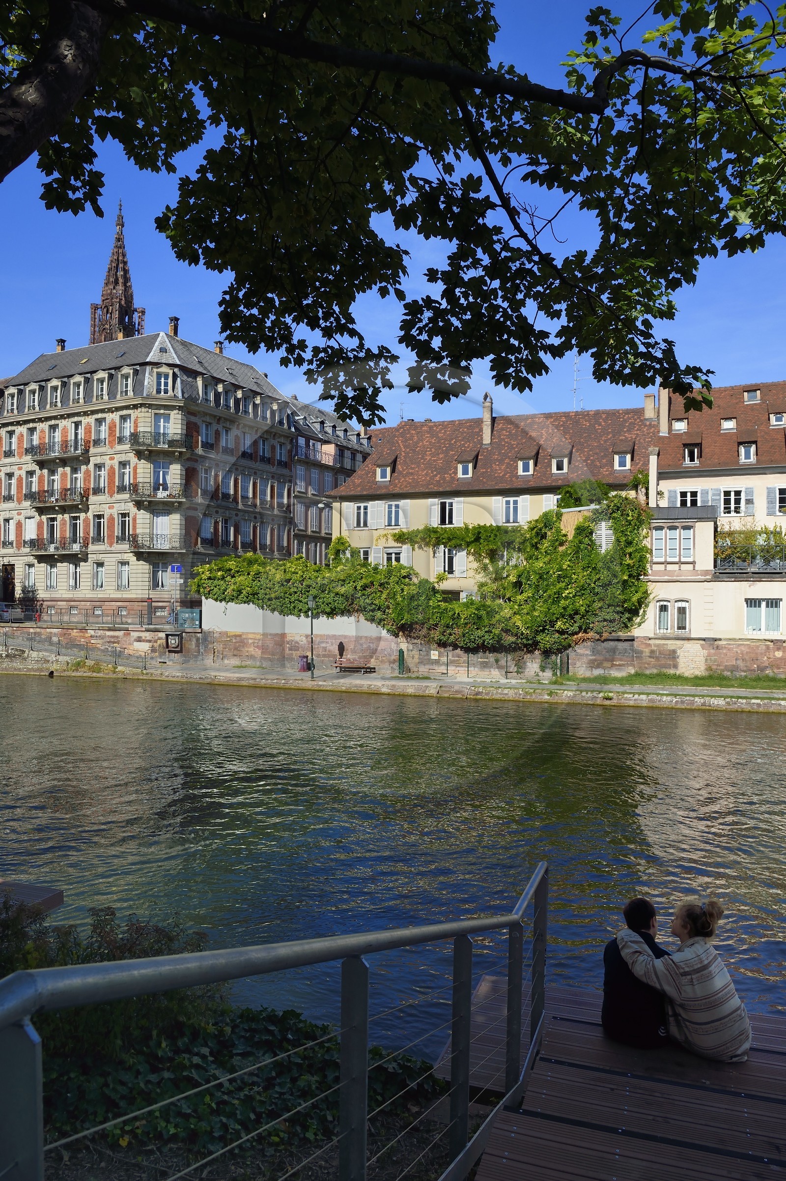 France, Bas-Rhin (67), Strasbourg, vieille ville classée Patrimoine Mondial de l'UNESCO, amoureux sur les bords de l'ill quai des Bateliers transformé en zone de rencontre réservée aux piétons et la cathédrale en arrière plan
