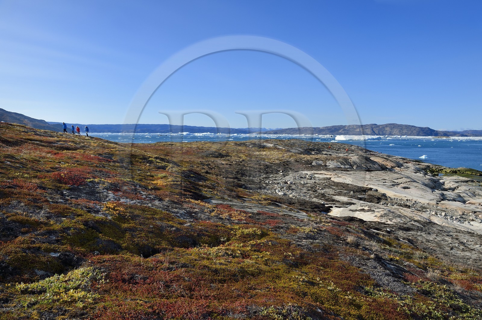 Groenland, cote ouest, baie de Disko, randonneurs sur une ile de la baie de Quervain