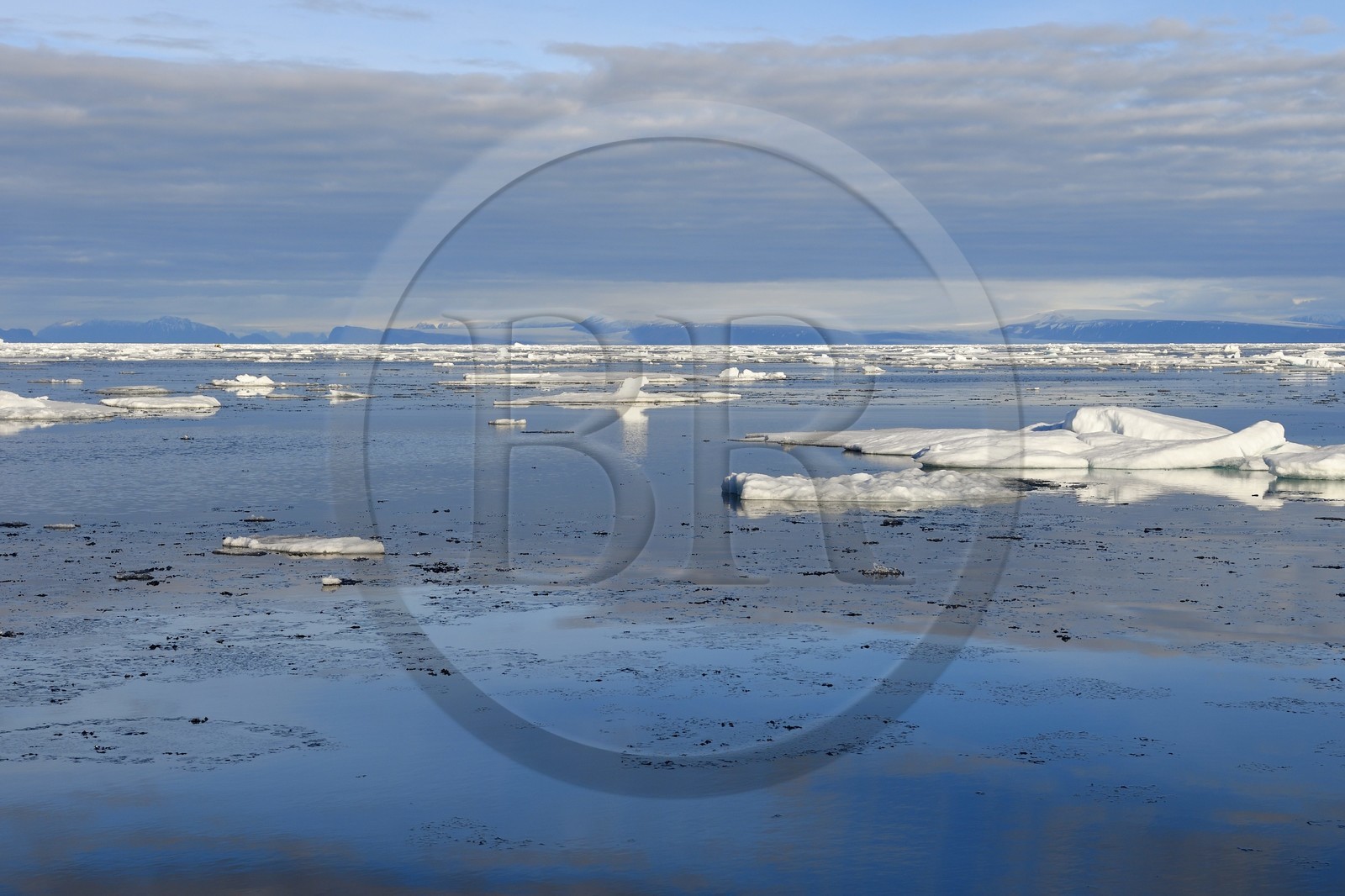 Groenland, cote Nord-Ouest, Smith sound au nord de la baie de Baffin, morceaux de glace de la banquise arctique en train de fondre (frasil au premier plan) et la côte canadienne de l'ile d'Ellesmere en arrière plan