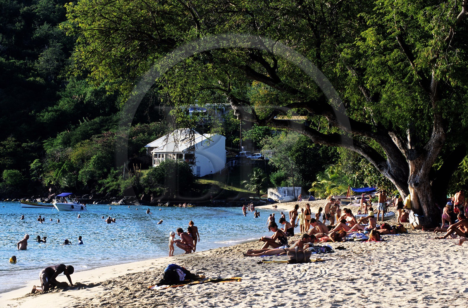 France, Martinique (French West Indies), Les Anses d' Arlet, beach on the South West coast France, Martinique (French West Indies), Les Anses d' Arlet, beach on the South West coast