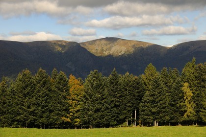 France, Haut-Rhin (68), la route des Crêtes, vue sur le Hohneck