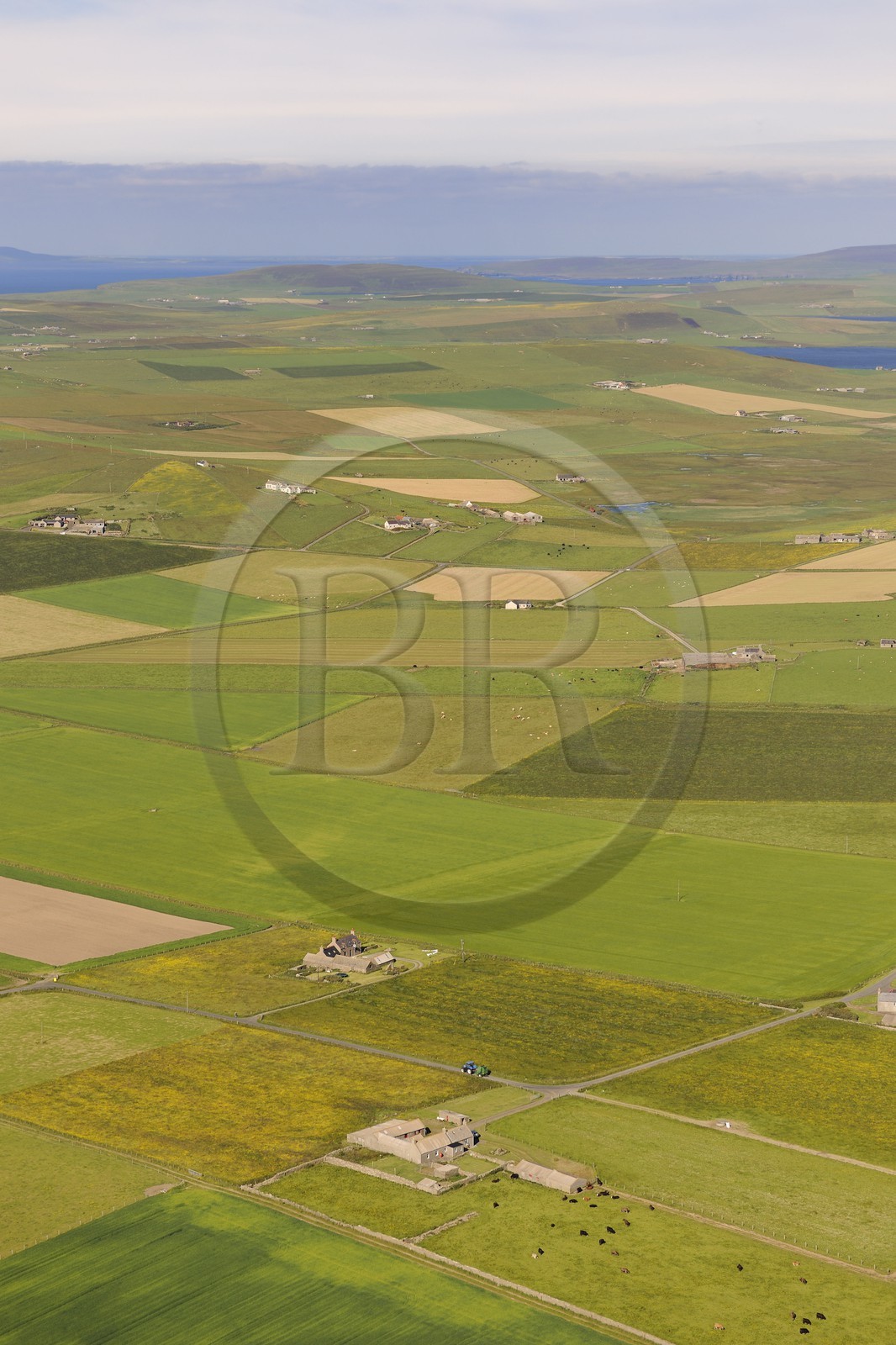 Royaume-Uni, Ecosse, Iles Orcades, Ile de Mainland, champs et fermes éparses sur la côte Est (vue aérienne)
