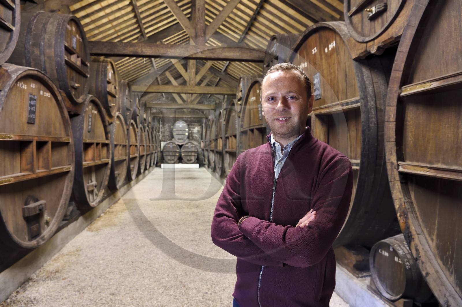 France, Calvados (14), Pays d'Auge, Saint-Cyr du Ronceray, Jean-Roger Groult producteur du Calvados Roger Groult AOC Pays d’Auge depuis cinq générations, tonneaux dans les chais de vieillissement France, Calvados (14), Pays d'Auge, Saint-Cyr du Ronceray, Jean-Roger Groult producteur du Calvados Roger Groult AOC Pays d’Auge depuis cinq générations, tonneaux dans les chais de vieillissement