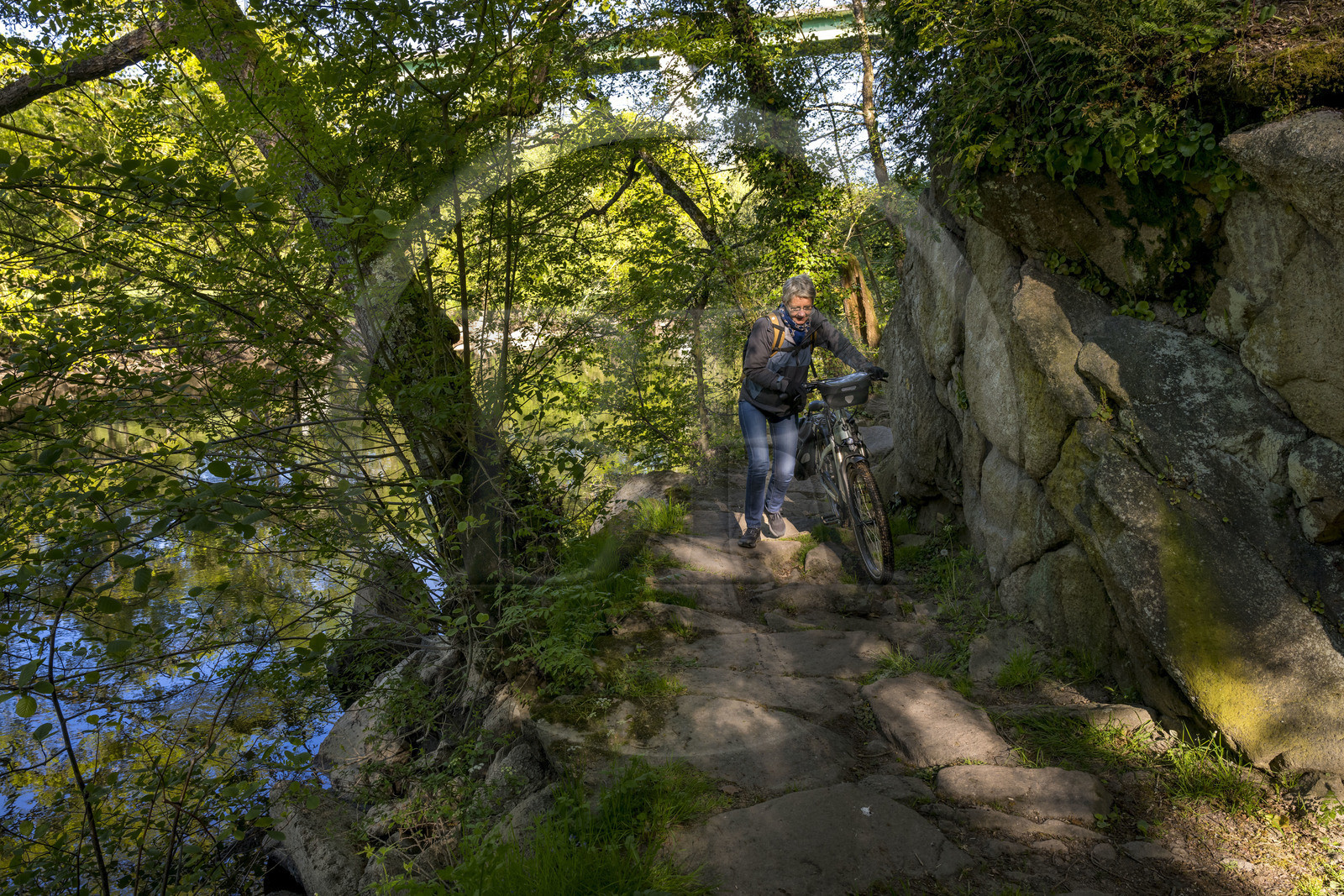 France, Vendée (85), Mortagne-sur-Sèvre, ancien chemin de halage le long de la Sèvre Nantaise