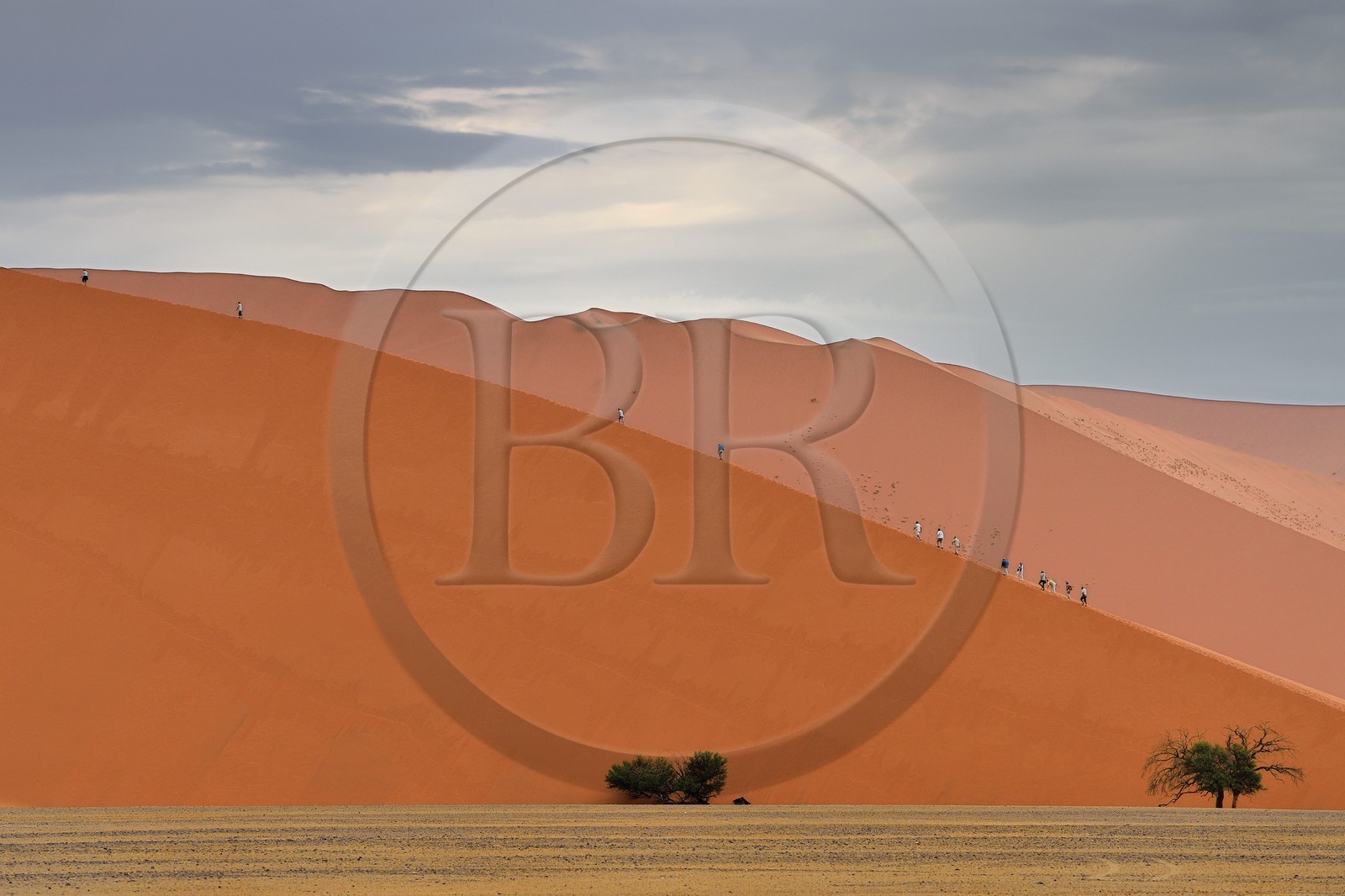Namibie, région d'Hardap, désert du Namib, parc national du Namib-Naukluft, Erg du Namib classé Patrimoine Mondial de l'UNESCO, dunes de Sossusvlei, randonneurs sur la dune 45